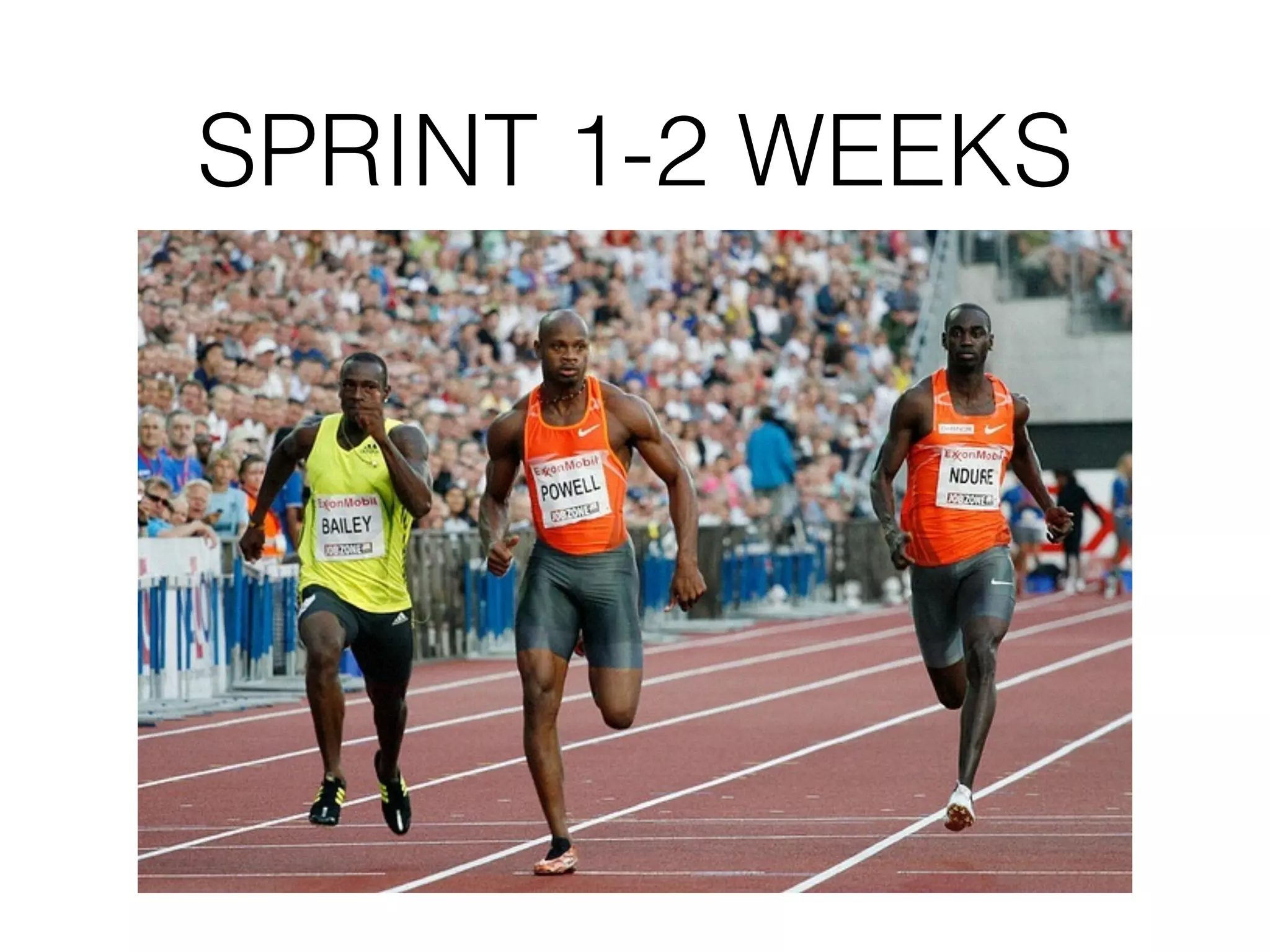 SPRINT 1-2 WEEKS 