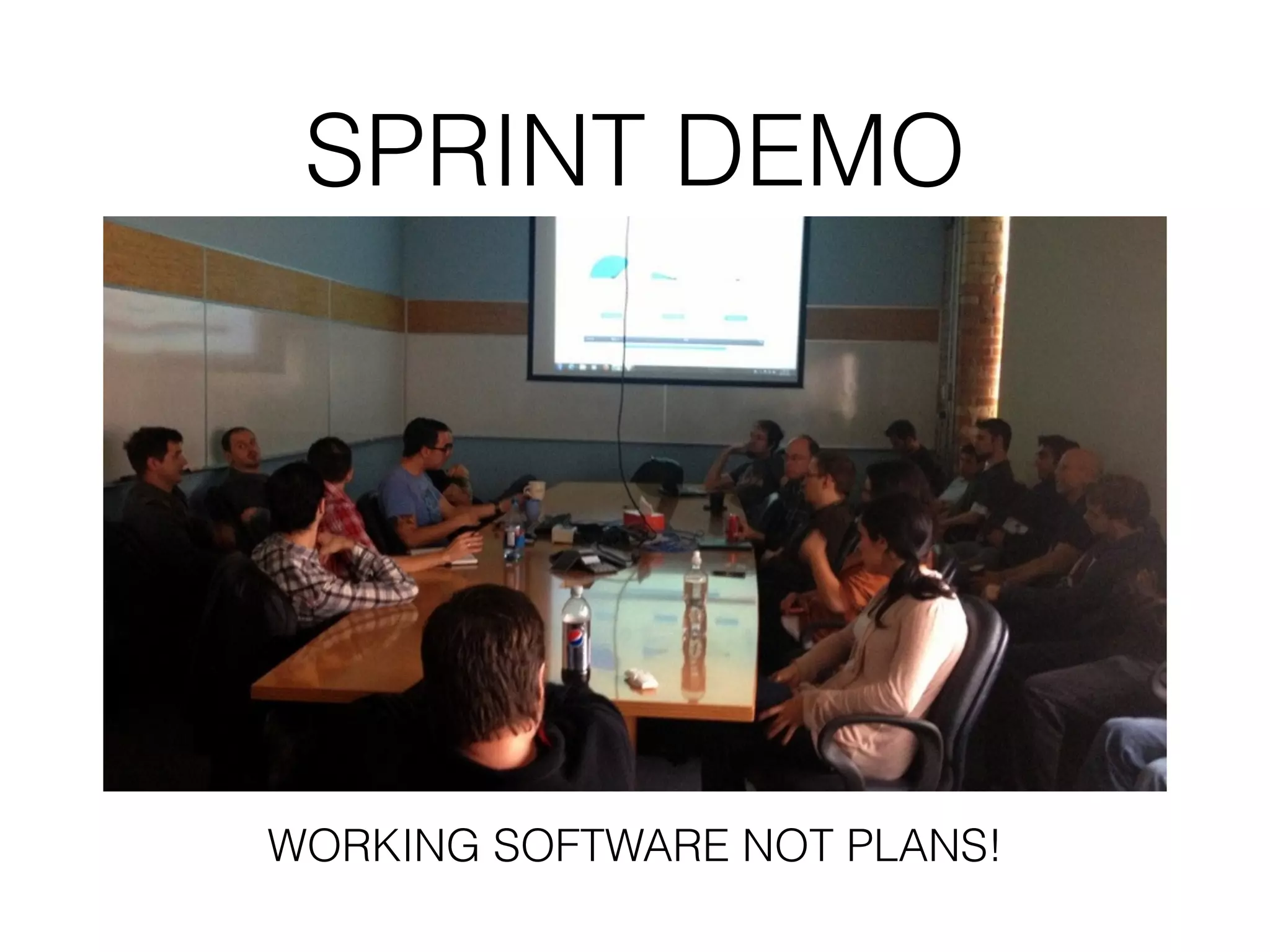 SPRINT DEMO WORKING SOFTWARE NOT PLANS! 