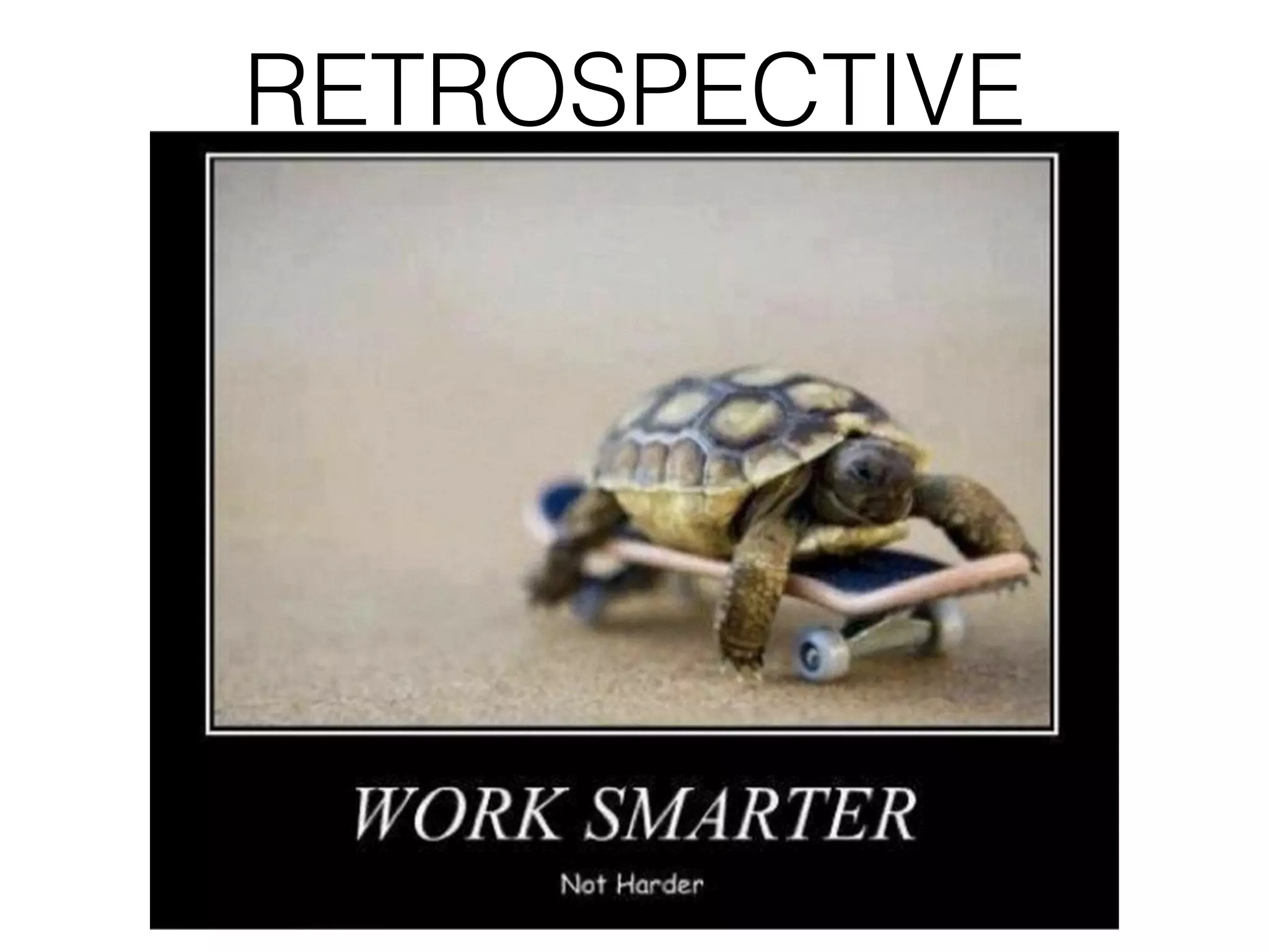 RETROSPECTIVE 