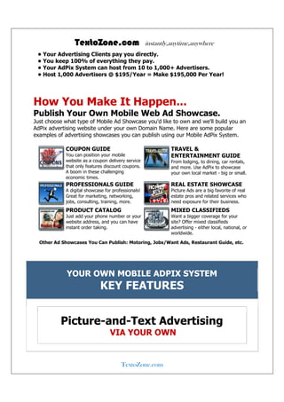 Mobile Advertising Solutions | PDF