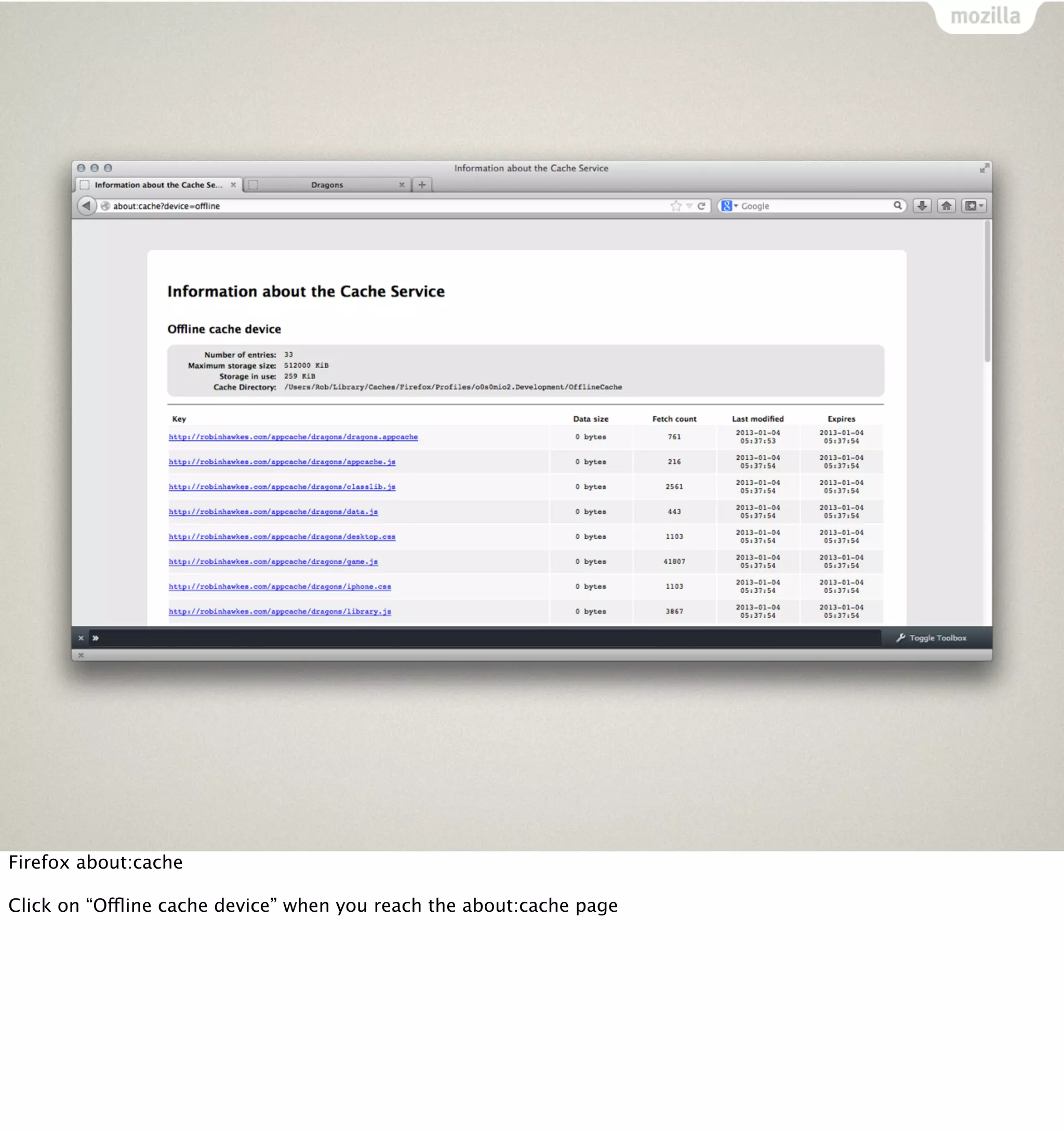 Firefox about:cache

Click on “Offline cache device” when you reach the about:cache page
 