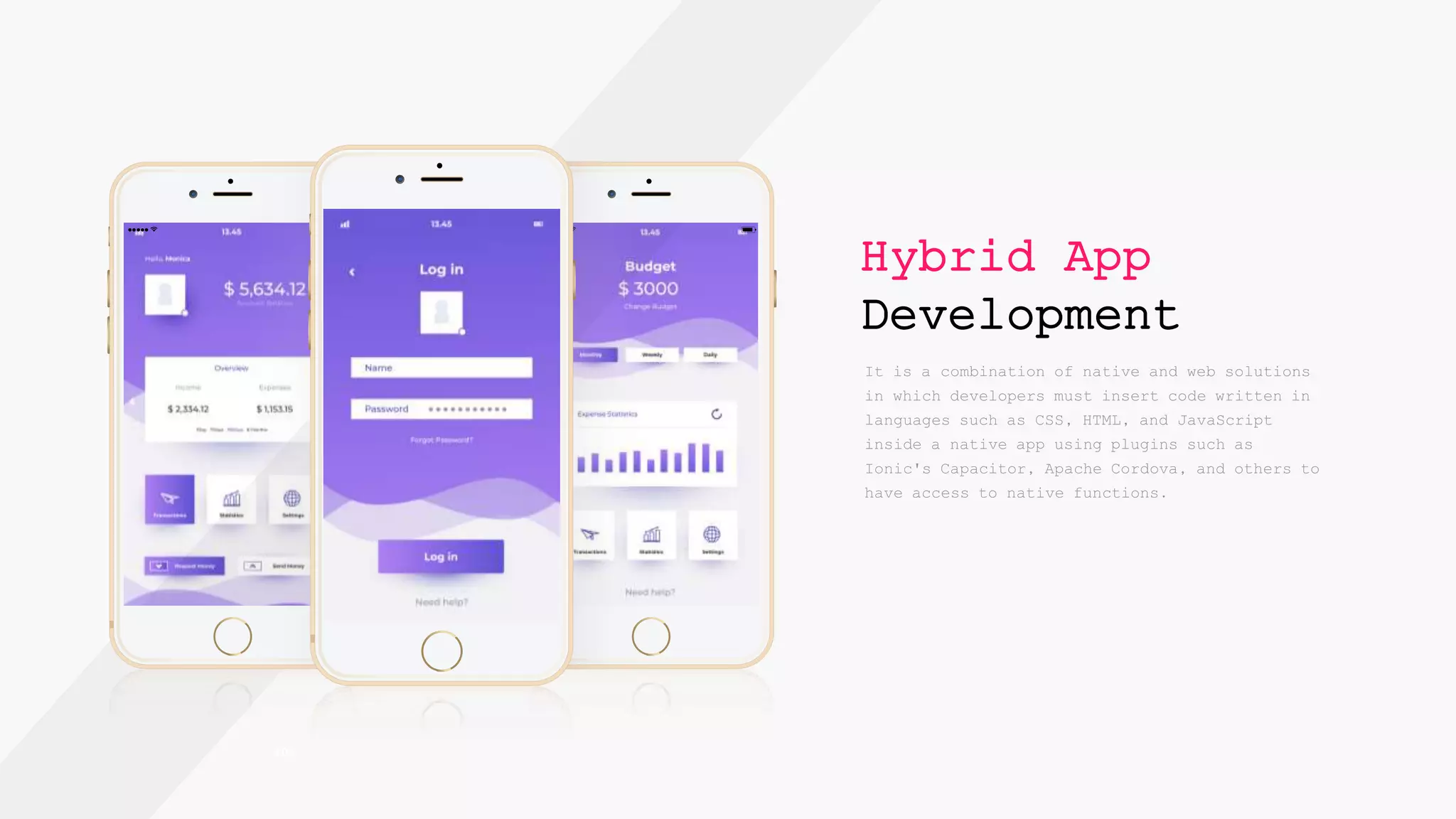 60%
Hybrid App
Development
 