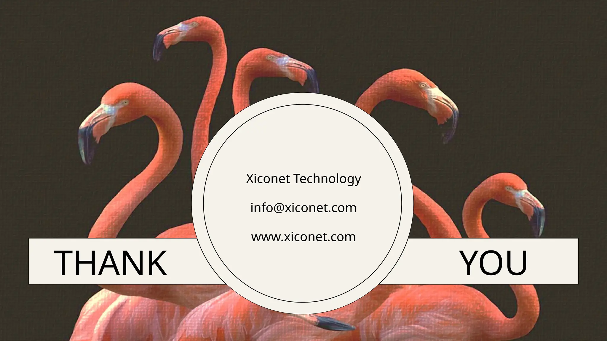THANK
Xiconet Technology​
info@xiconet.com
www.xiconet.com
YOU
 