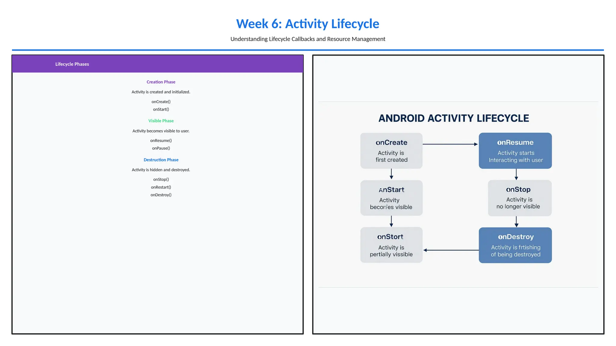 Week 6: Activity Lifecycle
Understanding Lifecycle Callbacks and Resource Management
Lifecycle Phases
Creation Phase
Activity is created and initialized.
onCreate()
onStart()
Visible Phase
Activity becomes visible to user.
onResume()
onPause()
Destruction Phase
Activity is hidden and destroyed.
onStop()
onRestart()
onDestroy()
 