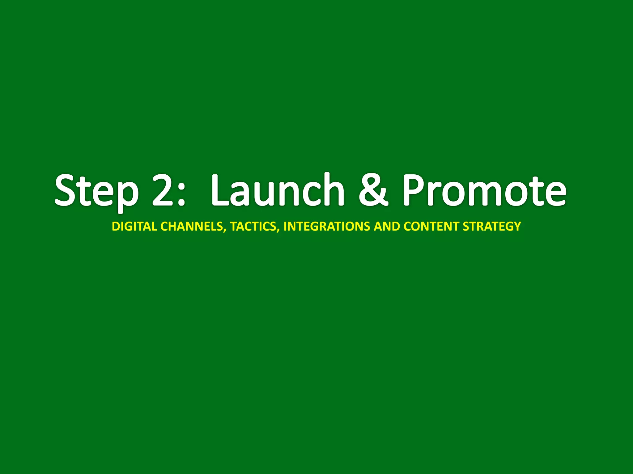 DIGITAL CHANNELS, TACTICS, INTEGRATIONS AND CONTENT STRATEGY
 