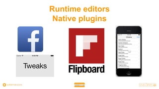 Runtime editors
Native plugins
 