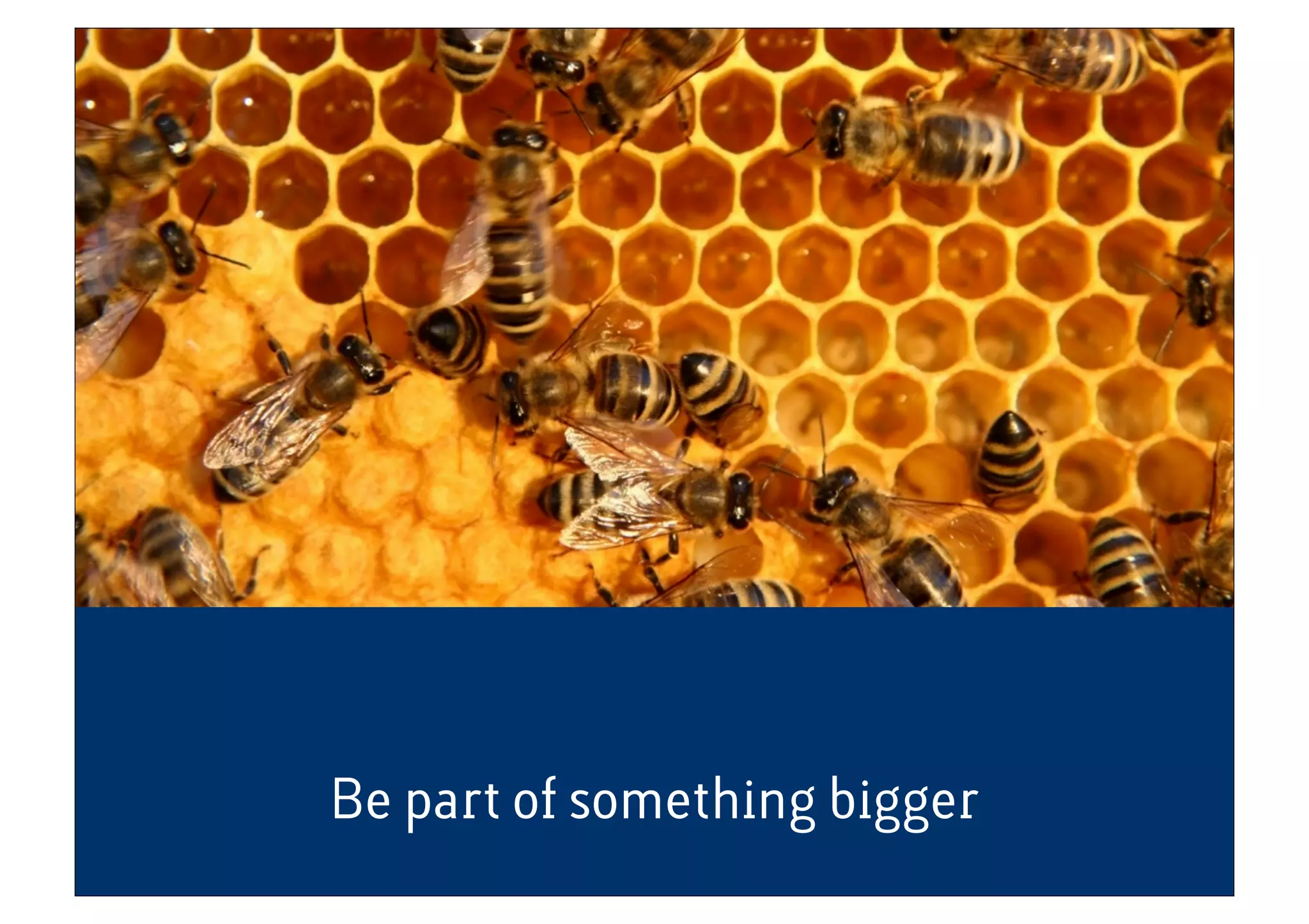 Be part of something bigger