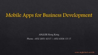 www.angleritech.com.hk
 