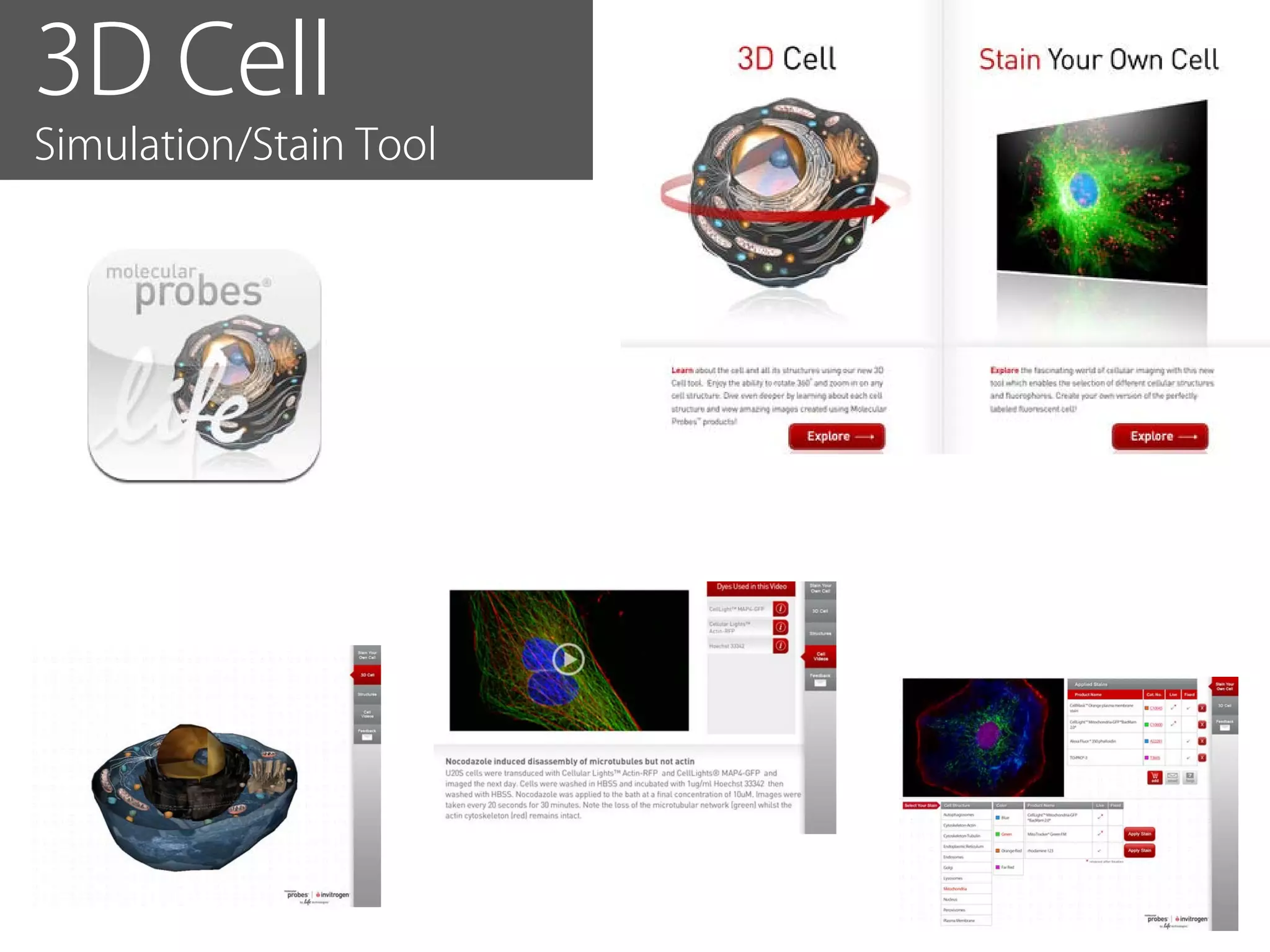 3D Cell
Simulation/Stain Tool
 