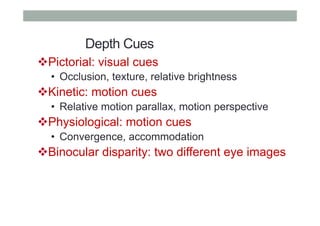 Depth Cues
" Pictorial: visual cues
•  Occlusion, texture, relative brightness
" Kinetic: motion cues
•  Relative motion parallax, motion perspective
" Physiological: motion cues
•  Convergence, accommodation
" Binocular disparity: two different eye images
 