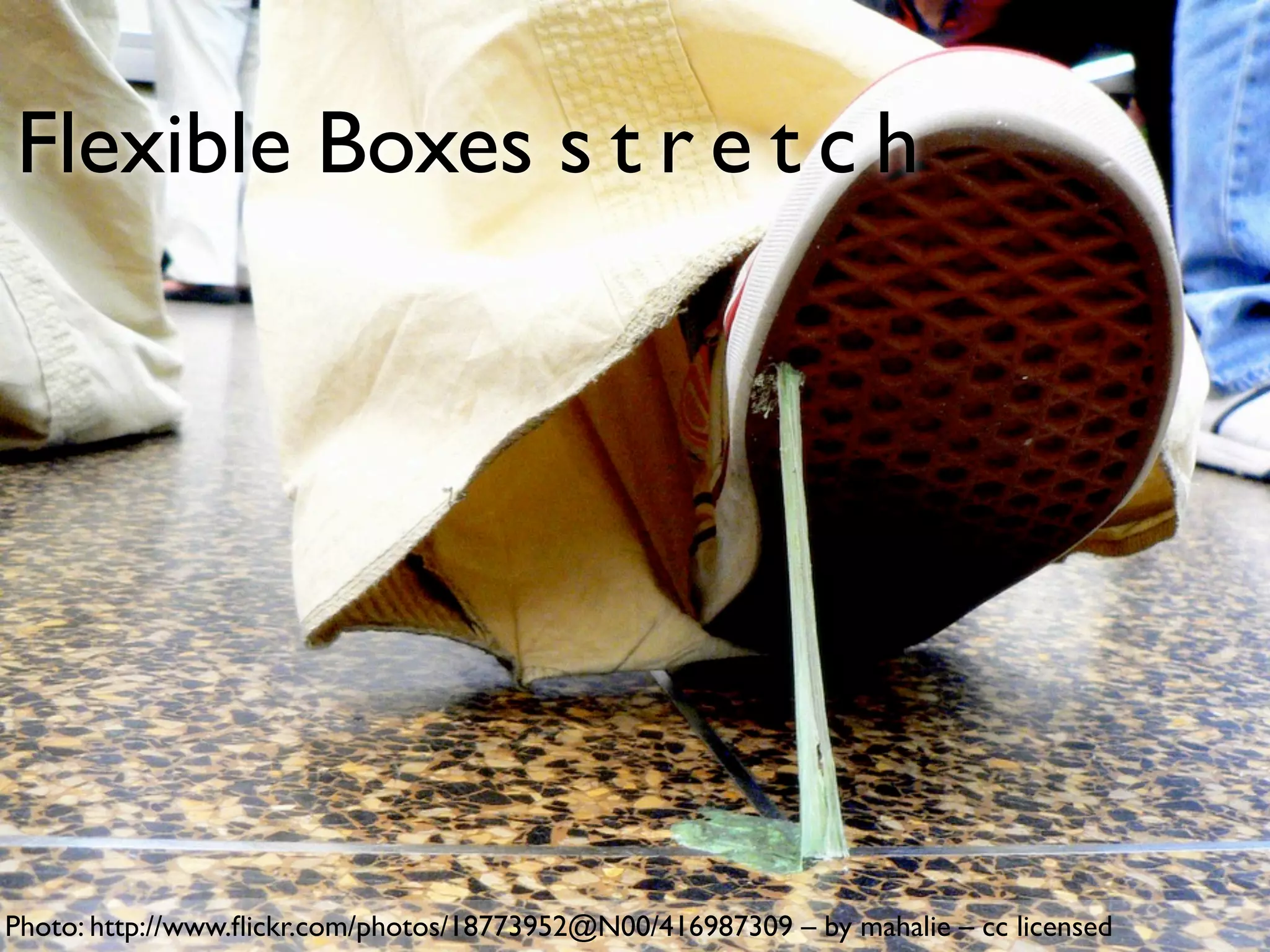 Flexible Boxes s t r e t c h




Photo: http://www.ﬂickr.com/photos/18773952@N00/416987309 – by mahalie – cc licensed
 
