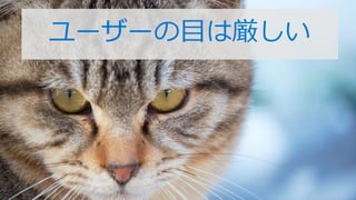 ``Ŀυ
 