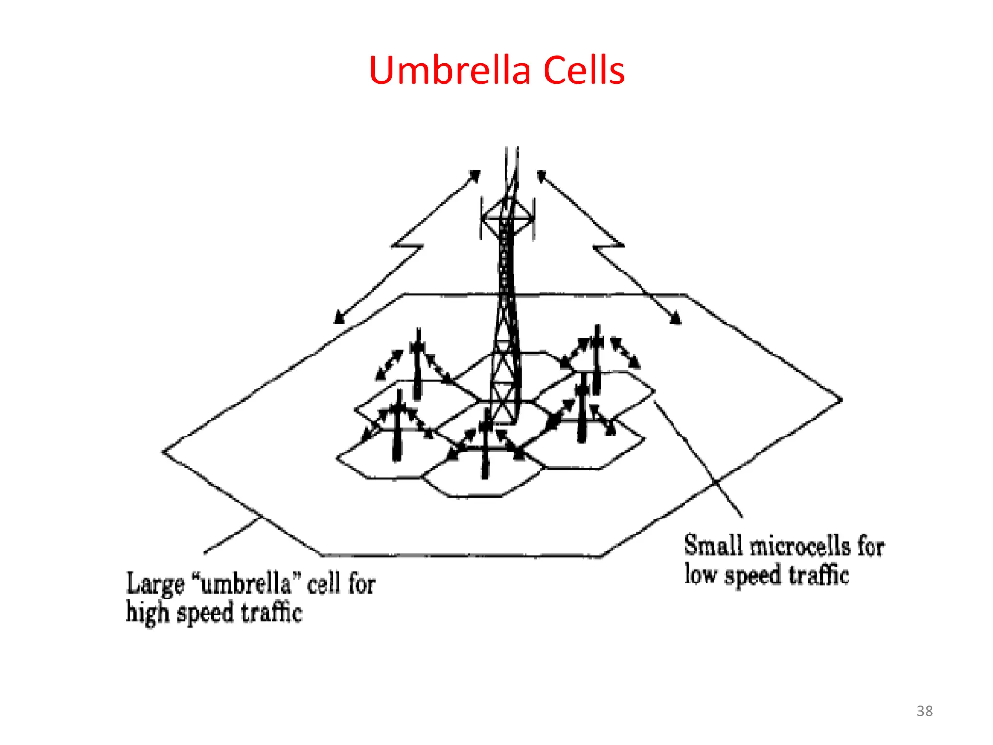 Umbrella Cells
38
 