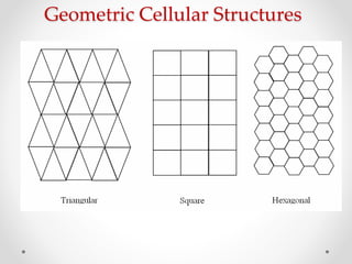 Geometric Cellular Structures
 