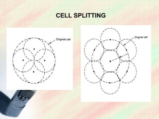 CELL SPLITTING
 