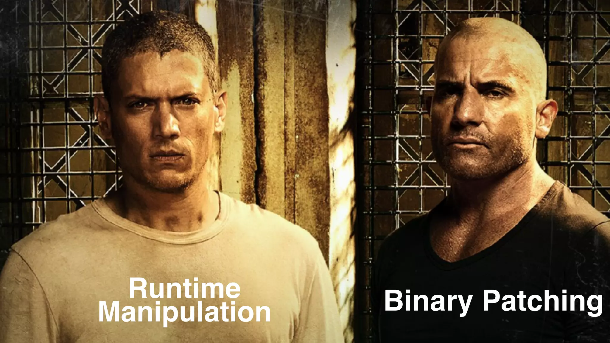 Runtime Manipulation Binary Patching