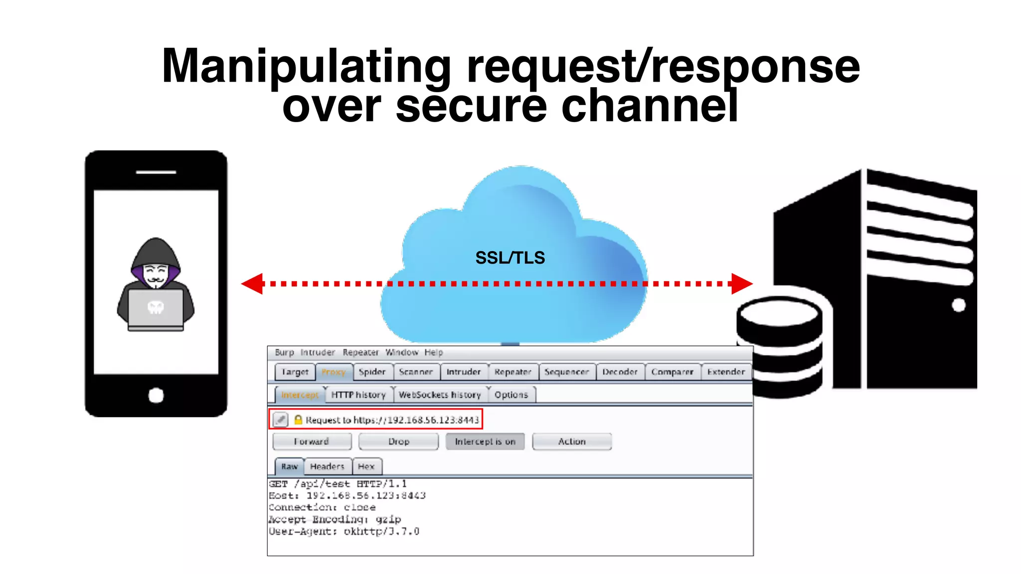 Manipulating request/response over secure channel SSL/TLS
