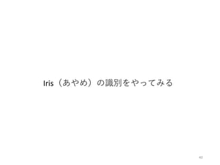 40
Iris（あやめ）の識別をやってみる
 