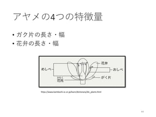 アヤメの4つの特徴量
• ガク⽚の⻑さ・幅
• 花弁の⻑さ・幅
44
https://www.kamikochi-vc.or.jp/learn/dictionary/dic_plants.html
 