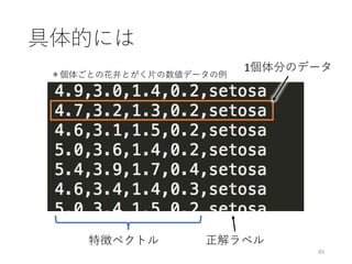 具体的には
45
正解ラベル特徴ベクトル
1個体分のデータ
＊個体ごとの花弁とがく⽚の数値データの例
 