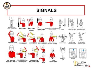 SIGNALS
HOIST LOAD
LOWER LOAD
RAISE BOOM LOWER BOOM
HOIST LOAD
SLOWLY
RAISE BOOM AND
LOWER LOAD
LOWER BOOM
AND RAISE LOAD
SWING LOAD IN DIRECTION
FINGER POINTS
STOP
DOG
EVERYTHING
EXTEND BOOM RETRACT BOOMUSE MAIN HOIST
USE WHIPLINE
(AUXILIARY HOIST)
STOP
 