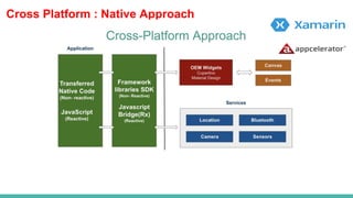 Cross Platform : Native Approach
 