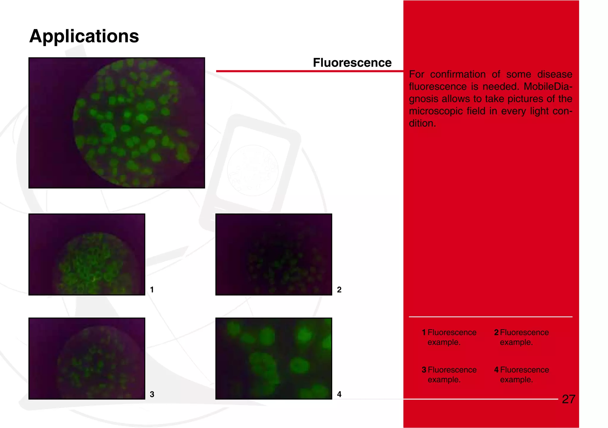 Applications
                   Fluorescence
                                                                      -
                                  gnosis allows to take pictures of the
                                                                      -
                                  dition.




               1      2




                                    1 Fluorescence   2 Fluorescence
                                      example.         example.


                                    3 Fluorescence   4 Fluorescence
                                      example.         example.
               3      4
                                                                      27
 
