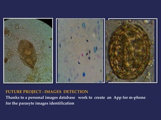 FUTURE PROJECT : IMAGES DETECTION 
Thanks to a personal images database work to create an App for m-phone 
for the parasyte images identification 
 