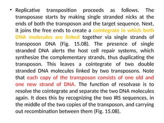 Mobile DNA, what is it? Full presentation | PPTX