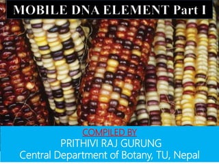 COMPILED BY
PRITHIVI RAJ GURUNG
Central Department of Botany, TU, Nepal
 