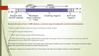 Mobile DNA elements | PDF