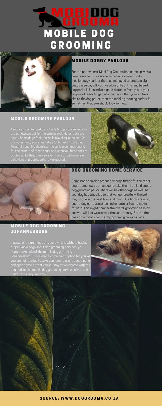 Mobile Dog Grooming | PDF - Mobile Pet Grooming Negative Review Management