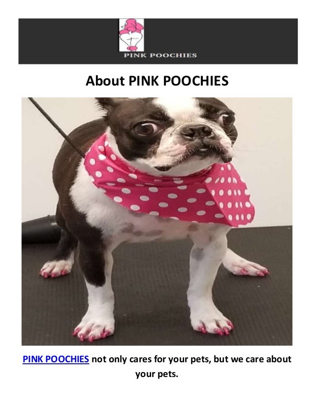 poochies mobile dog grooming