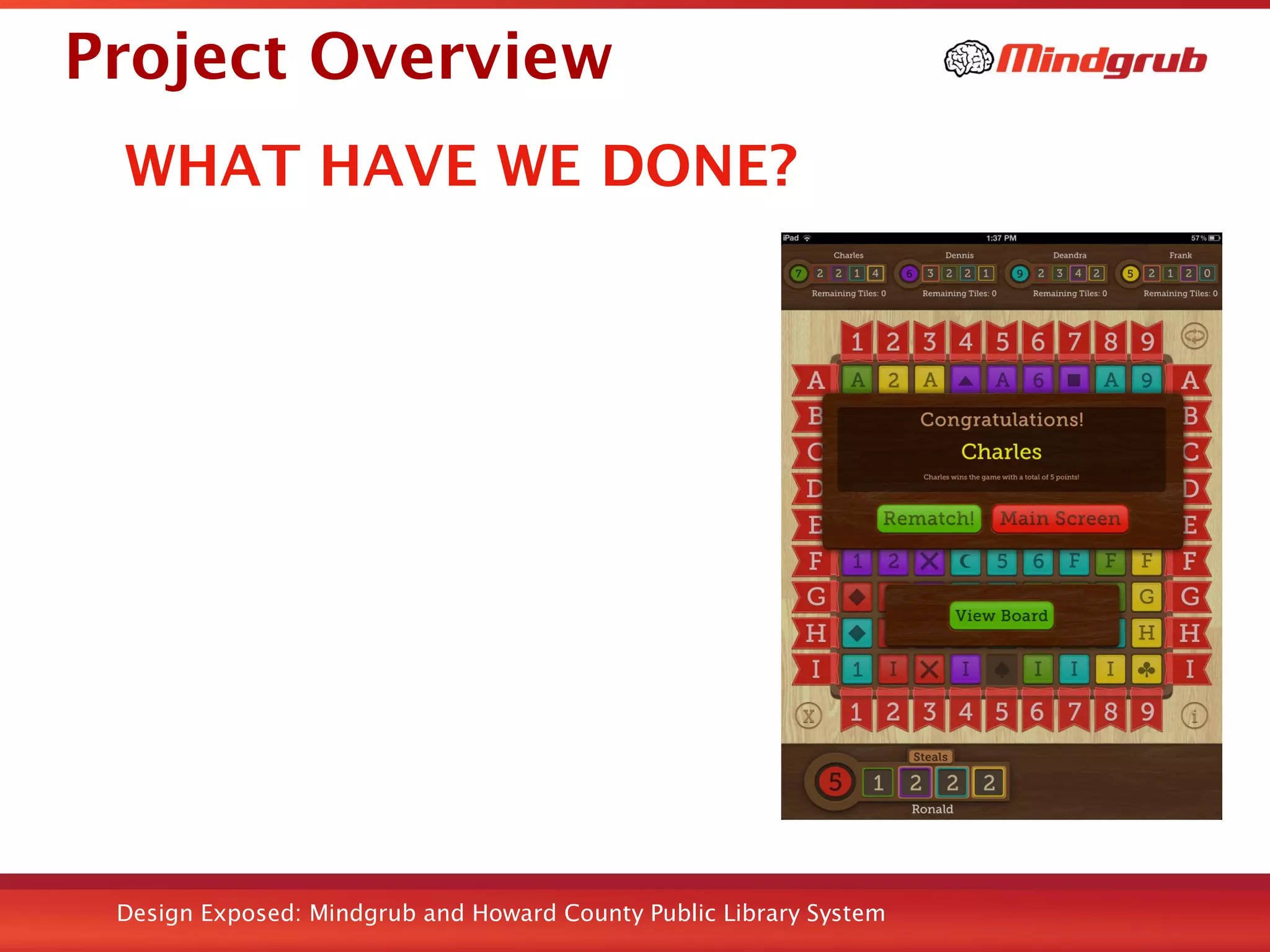 Design Exposed: Mindgrub and Howard County Public Library System
Project Overview
WHAT HAVE WE DONE?
 