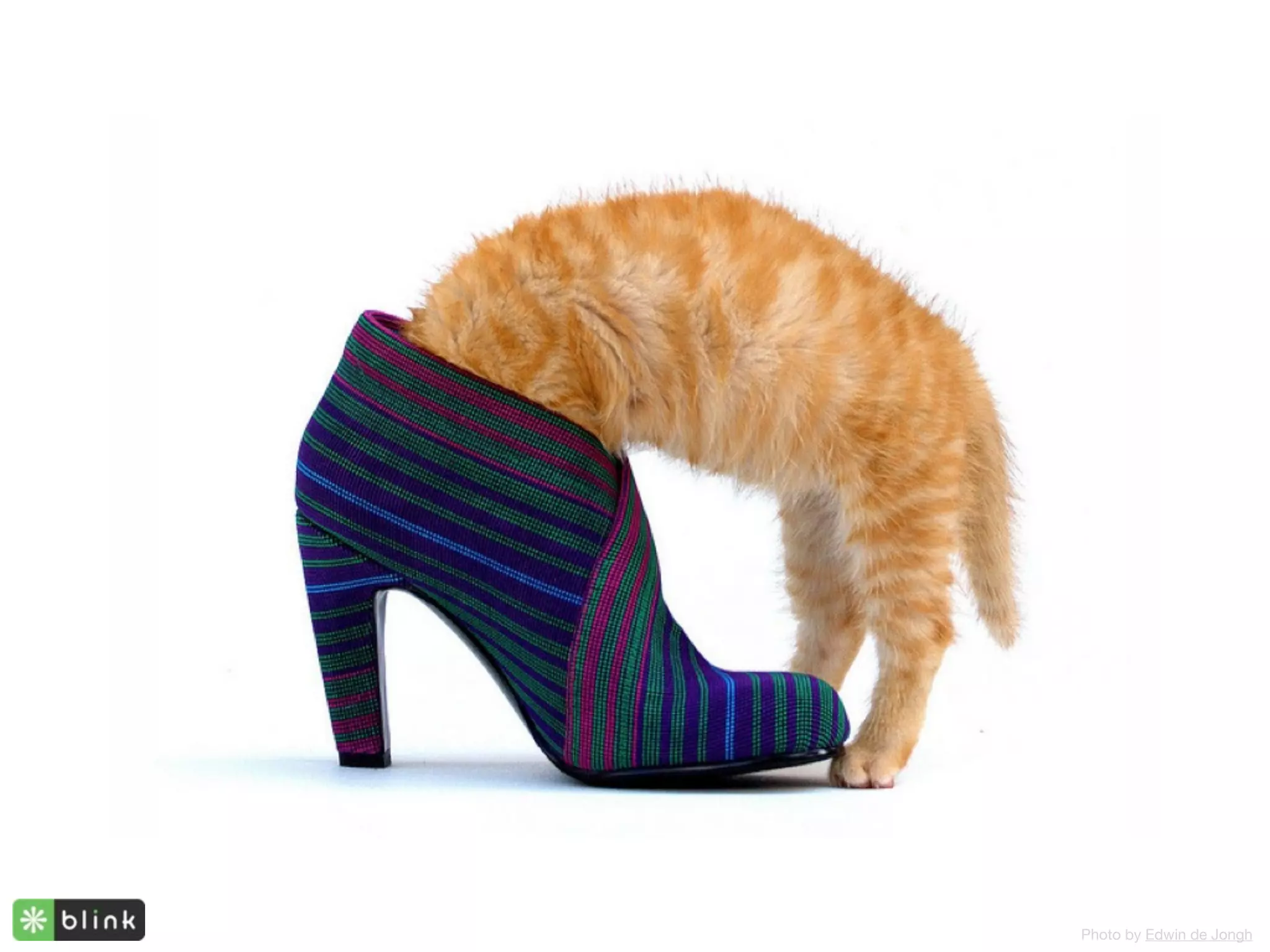 Photo by Edwin de Jongh
 