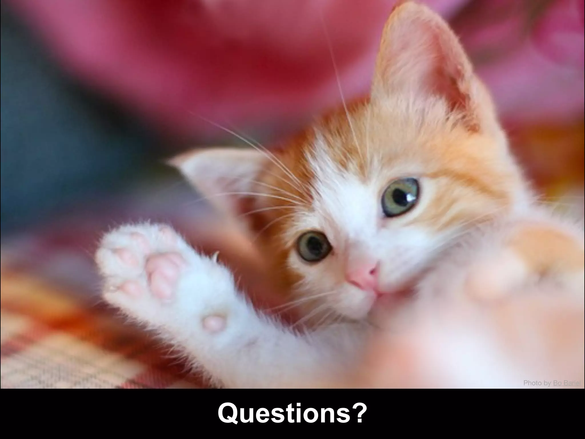 Photo by Bo Bariel




Questions?
 