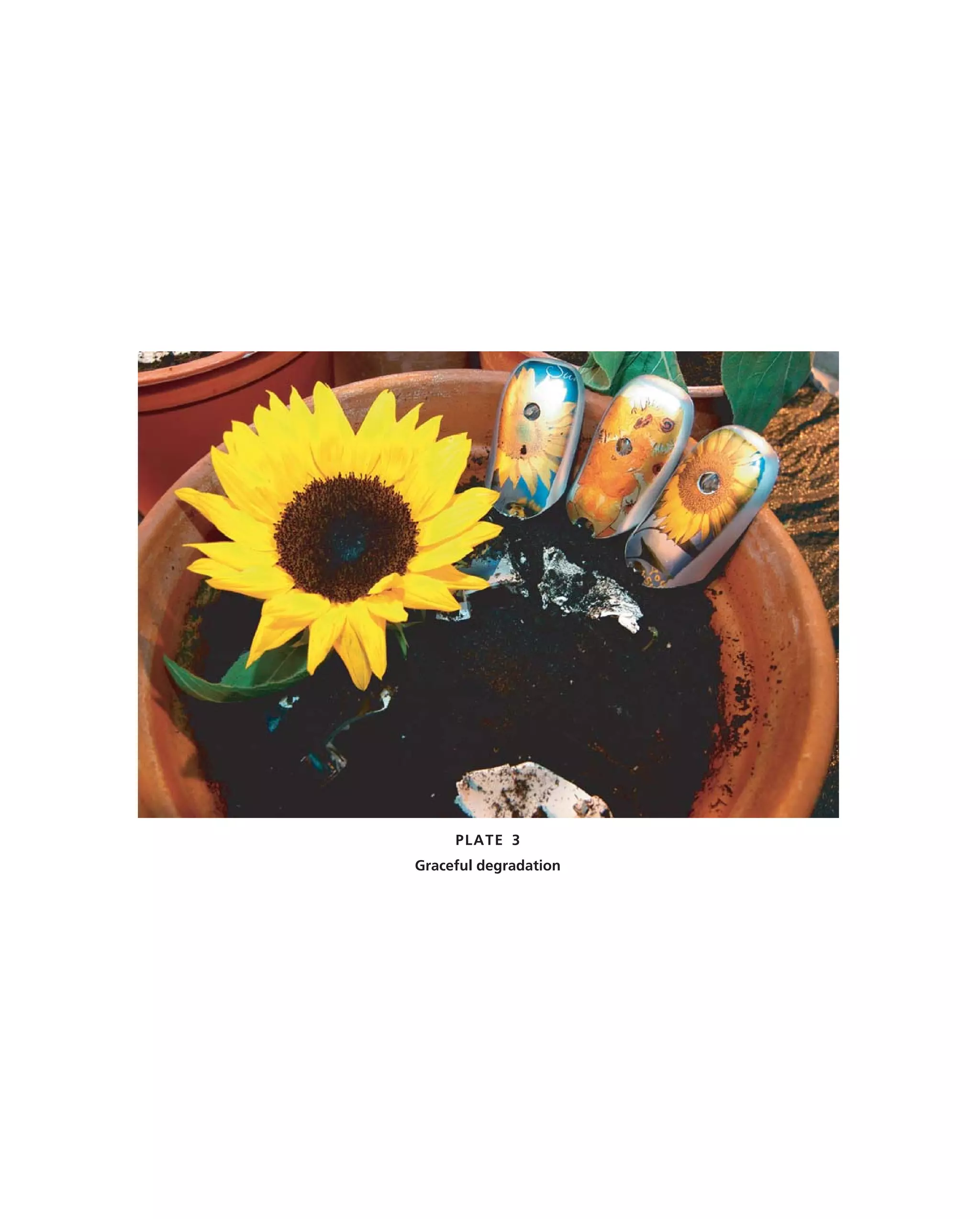 PLATE 3
Graceful degradation
 