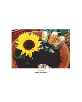 PLATE 3
Graceful degradation
 