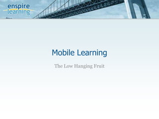 Mobile Learning The Low Hanging Fruit 