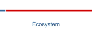 Ecosystem

 