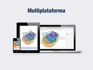 Multiplataforma
 
