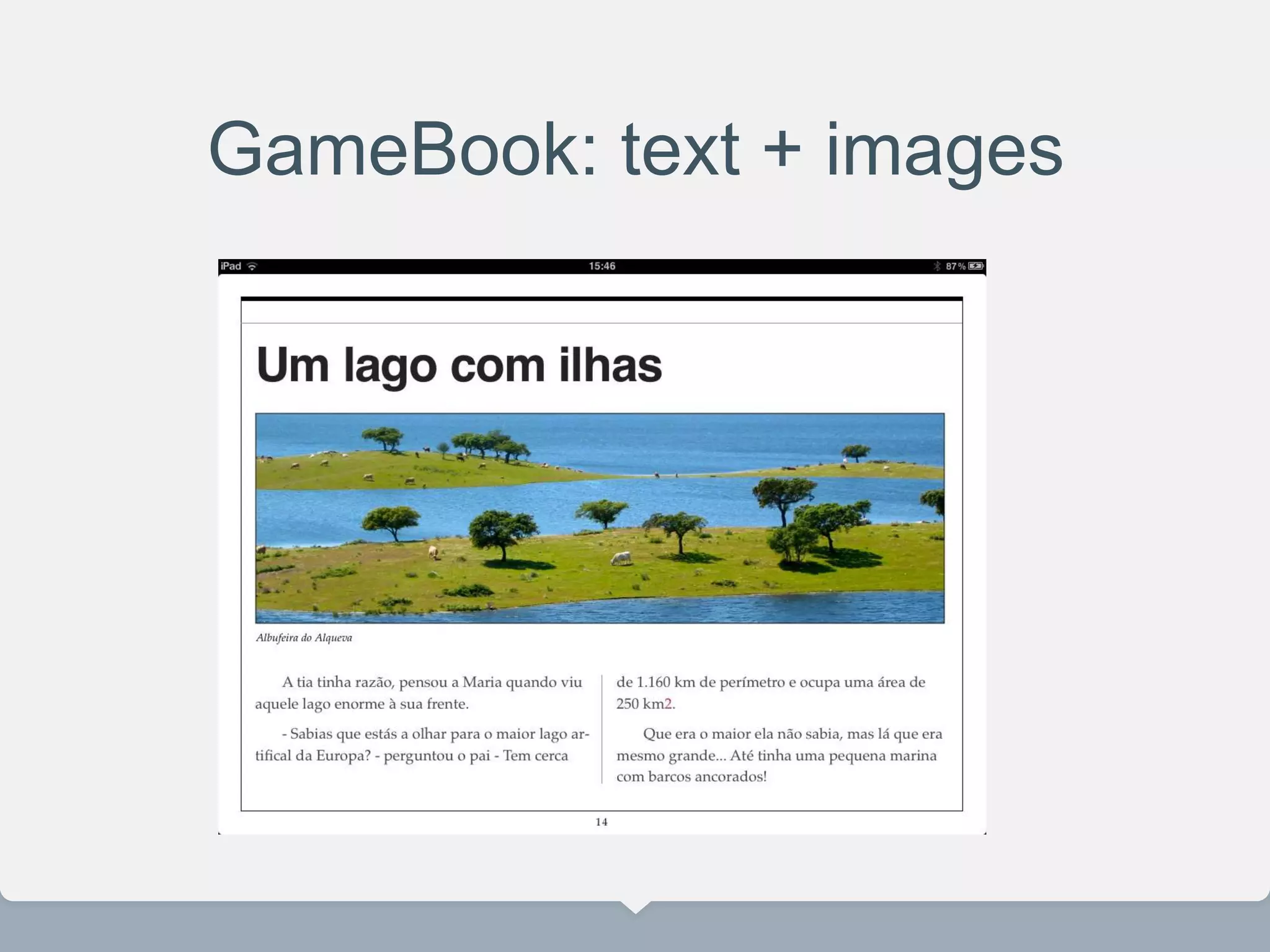 GameBook: text + images
 