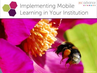 Implementing Mobile
Learning in Your Institution




                          Image CC BY-NC Curnen
 