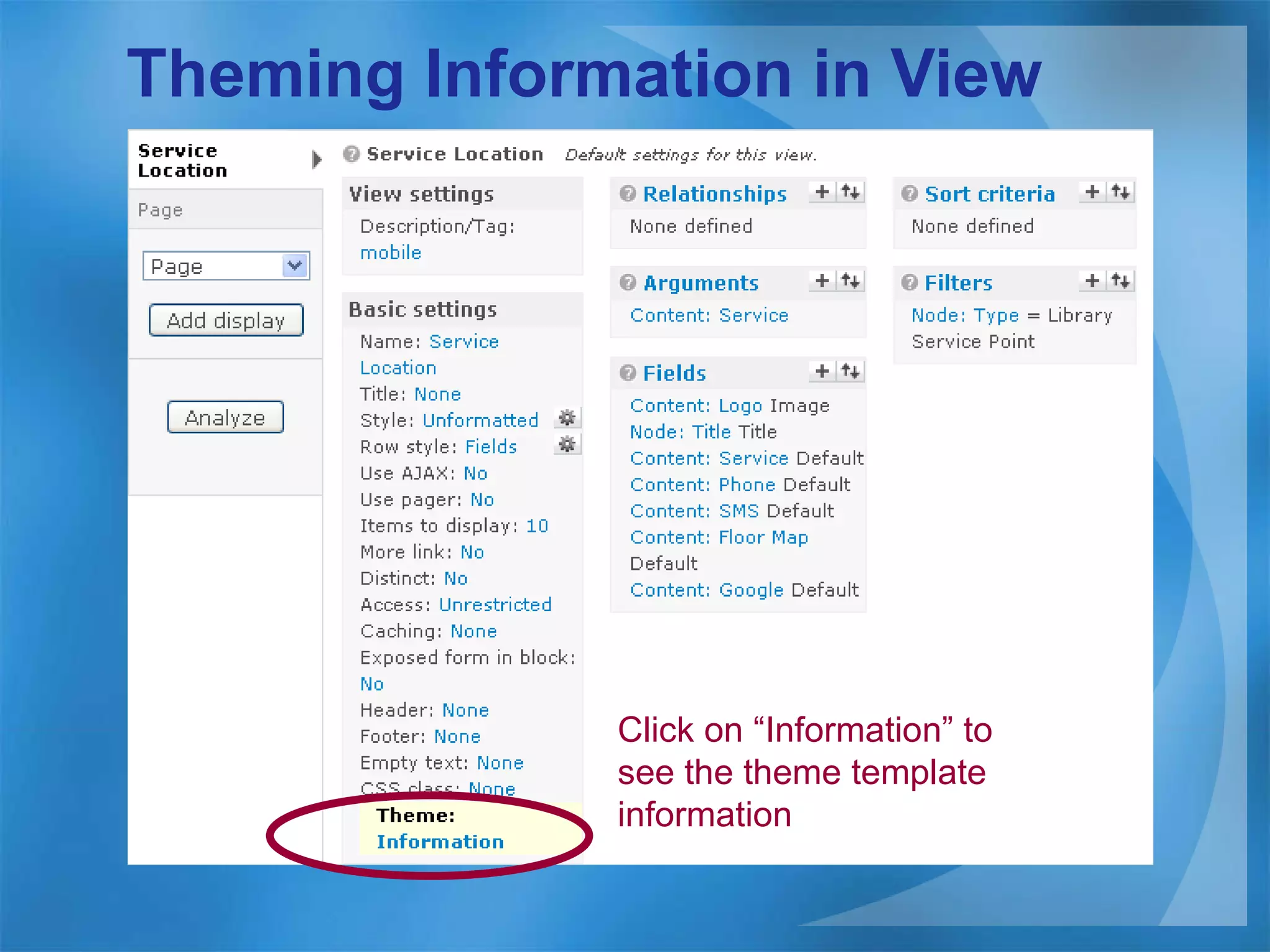 Theming Information in View Click on “Information” to see the theme template information 