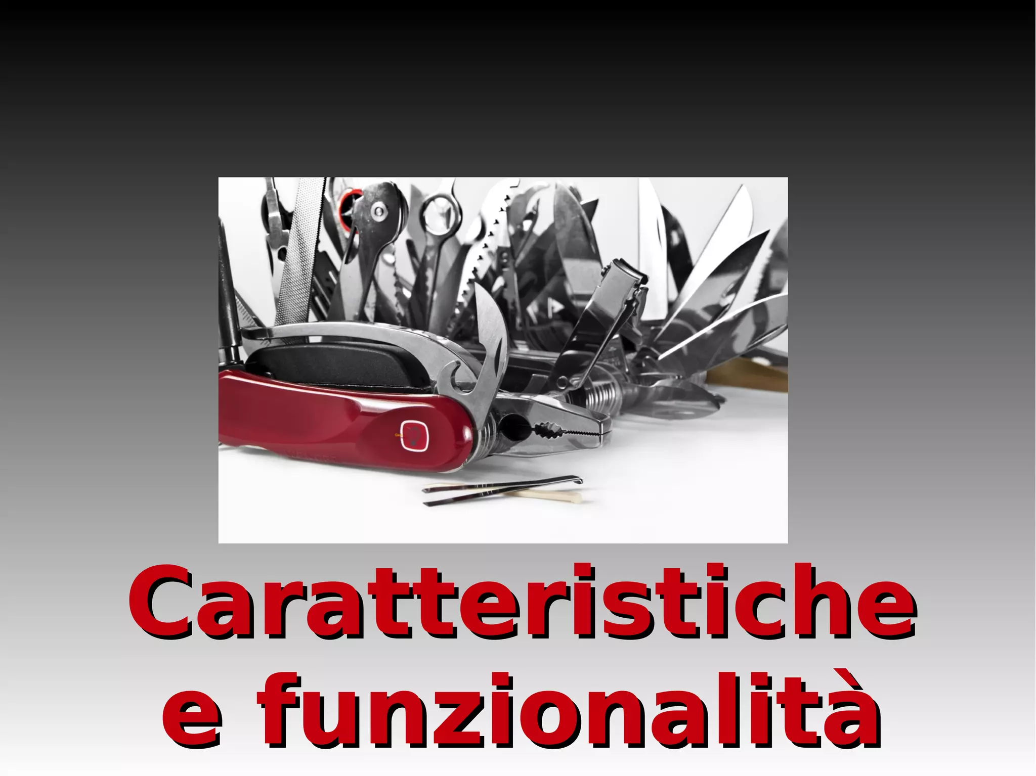 CCaarraatttteerriissttiicchhee 
ee ffuunnzziioonnaalliittàà 
 