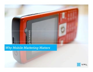 Why Mobile Marketing Matters
 
