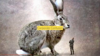 Corporate Confusion

Photo Credit:: http://www.ﬂickr.com/photos/16230215@N08/4730538213/ h.koppdelaney

 