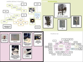 Mobile Mind Maps in learning - visualizing, sharing and reflection