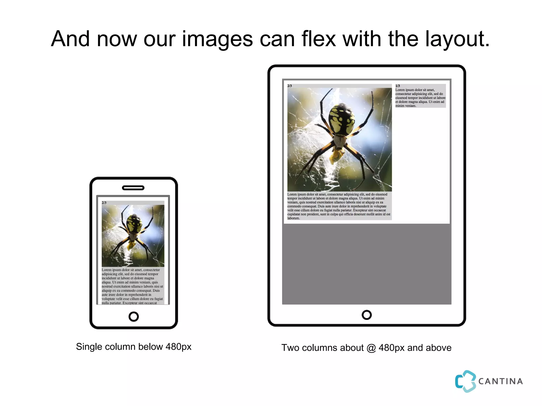 And now our images can flex with the layout.




  Single column below 480px   Two columns about @ 480px and above
 