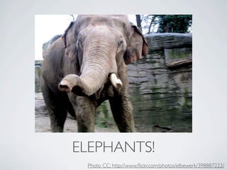 ELEPHANTS!
 Photo CC: http://www.ﬂickr.com/photos/elbewerk/398887222/
 